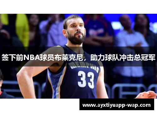 签下前NBA球员布莱克尼，助力球队冲击总冠军